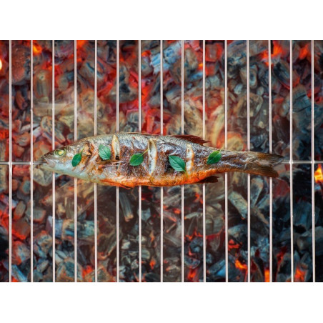 توری کباب پز مخصوص ماهی فلورابست | Florabest