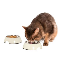 مجموعه 2 عددی ظرف غذای گربه و سگ زوفاری | Zoofari