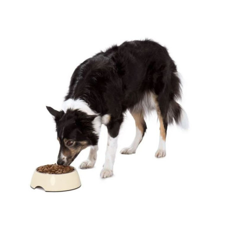 ظرف غذای سگ زوفاری | Zoofari