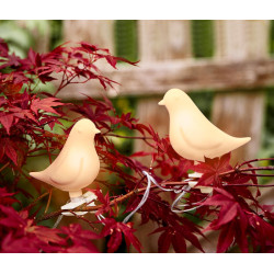 چراغ تزئینی LED طرح پرنده چیبو | Tchibo