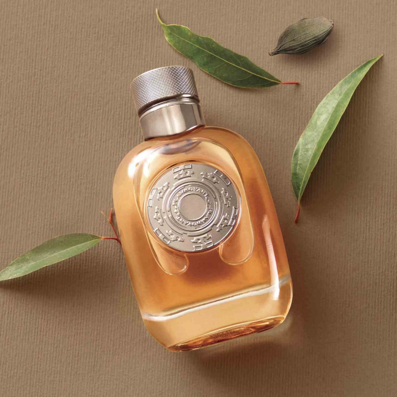 ادوتویلت فلمبویانت مردانه اوریفلیم | oriflame