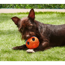 توپ لاستیکی دارای LED مخصوص بازی سگ نرف داگ | NERF DOG