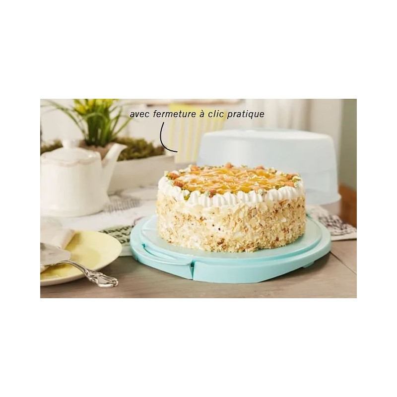 ظرف نگهداری و سرو کیک مدل دایره ای ارنستو | ERNESTO
