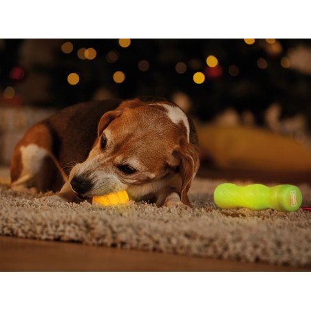 اسباب بازی دندانی LED دار سگ | Zoofari