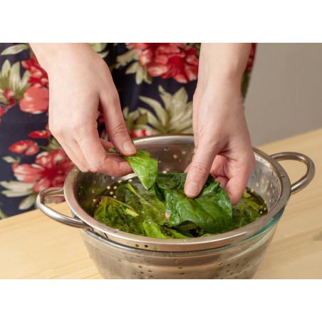 صافی استیل دسته دار چند منظوره ارنستو | ERNESTO