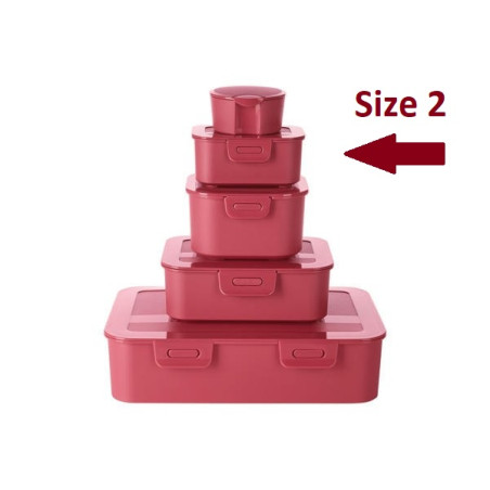 ظرف نگهدارنده غذا سایز 2 ارنستو | Ernesto