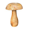 قارچ چوبی دکوراتیو لیدل | LIDL