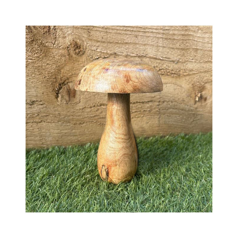 قارچ چوبی دکوراتیو لیدل | LIDL