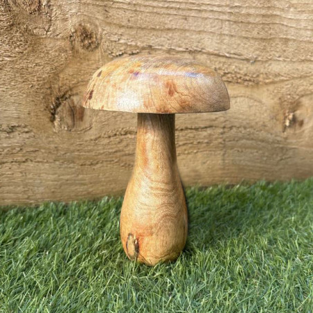 قارچ چوبی دکوراتیو لیدل | LIDL