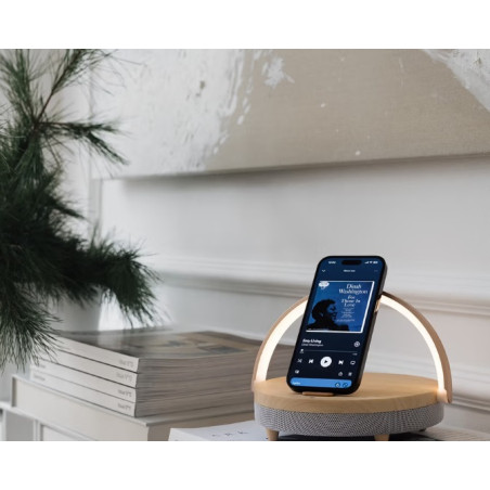 اسپیکر بلوتوث با شارژر بی‌سیم و چراغ خواب چیبو