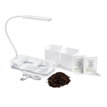 گلدان و چراغ رشد گیاه چیبو