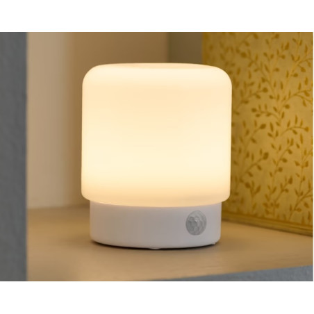 چراغ چند منظوره  LED با حسگر حرکت چیبو