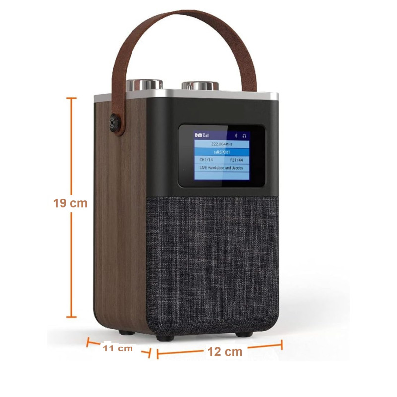 رادیو اسپیکر حرفه ای بدنه چوبی مدل retro-desing چیبو