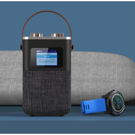 رادیو اسپیکر حرفه ای بدنه چوبی مدل retro-desing چیبو