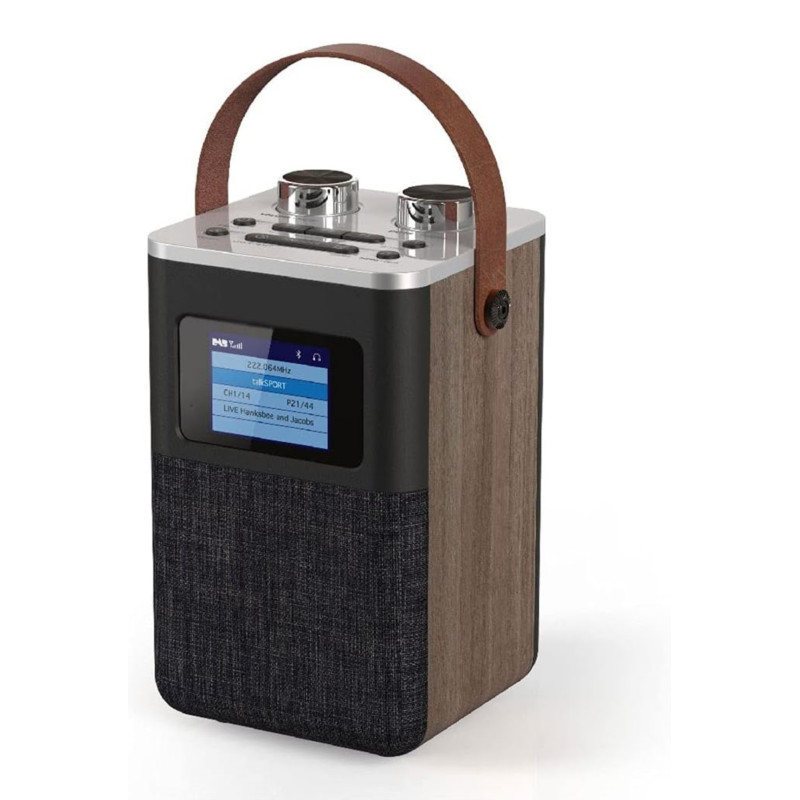 رادیو اسپیکر حرفه ای بدنه چوبی مدل retro-desing چیبو