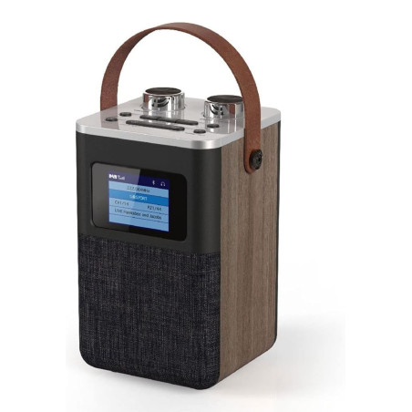 رادیو اسپیکر حرفه ای بدنه چوبی مدل retro-desing چیبو